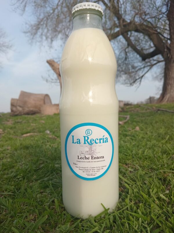 Leche Organica 1lt.
